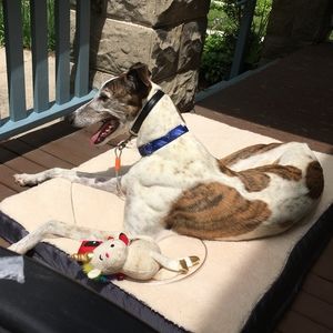 Meet your Posher, Jessi